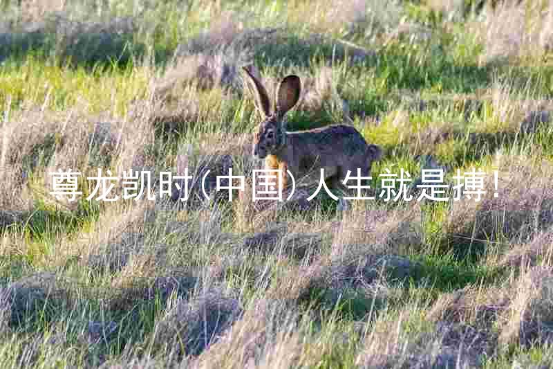 尊龙凯时(中国)人生就是搏!