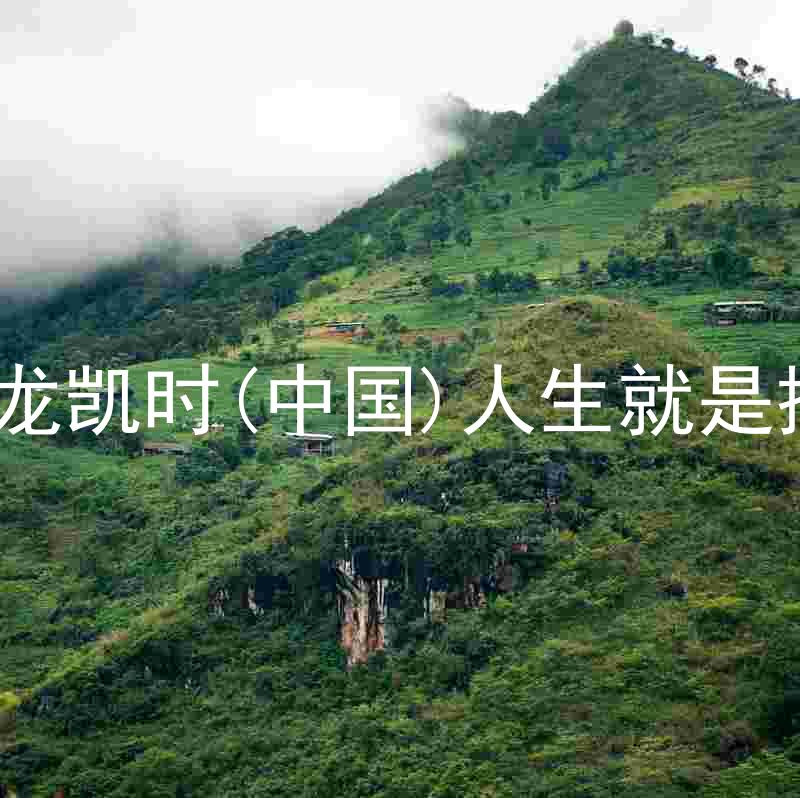 尊龙凯时(中国)人生就是搏!