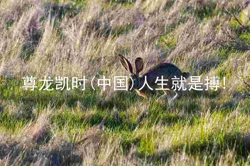 尊龙凯时(中国)人生就是搏!