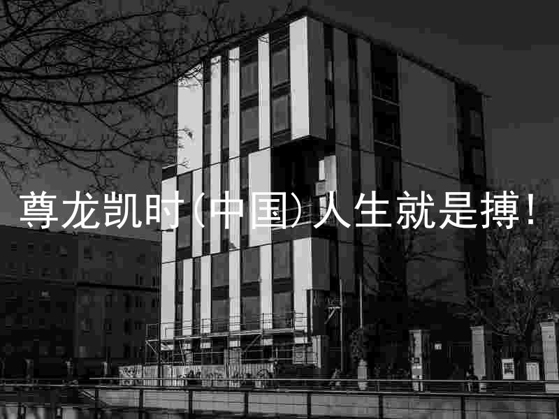尊龙凯时(中国)人生就是搏!