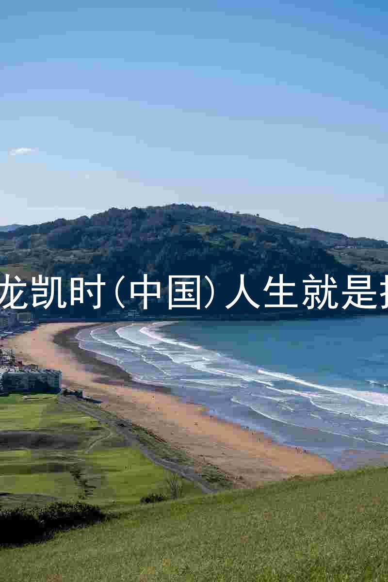 尊龙凯时(中国)人生就是搏!
