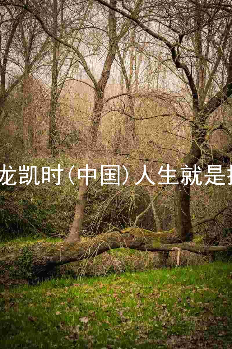 尊龙凯时(中国)人生就是搏!