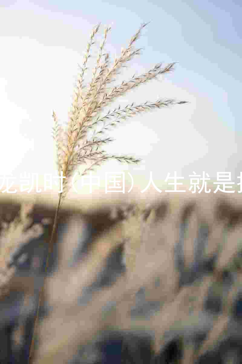 尊龙凯时(中国)人生就是搏!