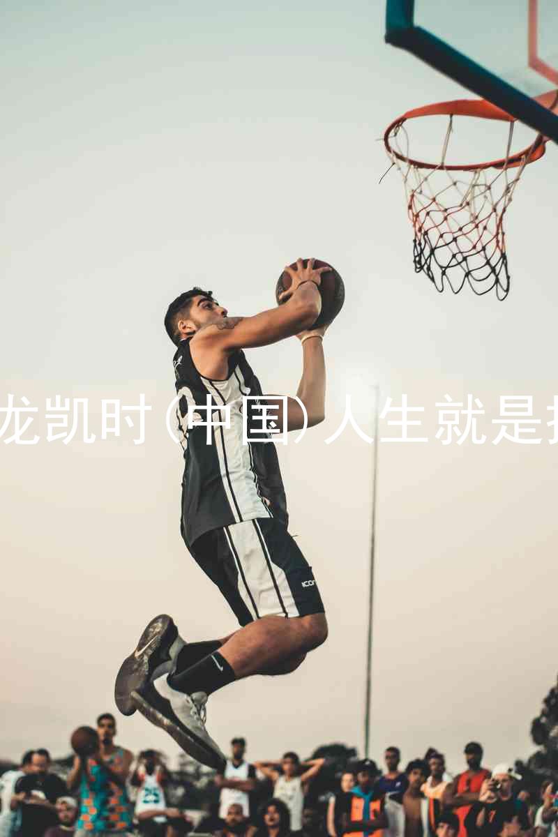 尊龙凯时(中国)人生就是搏!