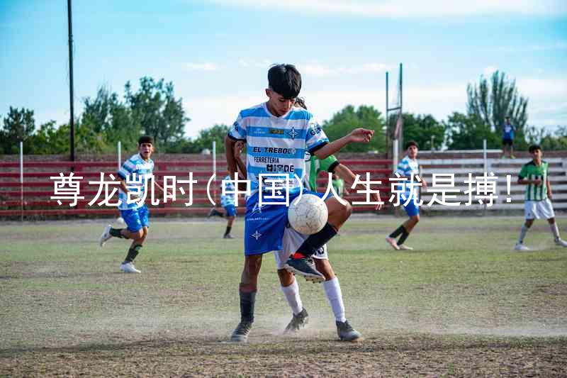 尊龙凯时(中国)人生就是搏!